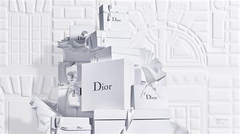 dior website in french|dior in france.